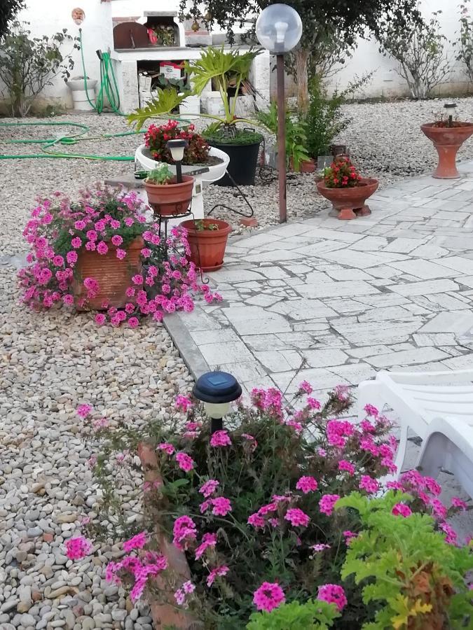 آنسيو B&B Villa Claudia المظهر الخارجي الصورة